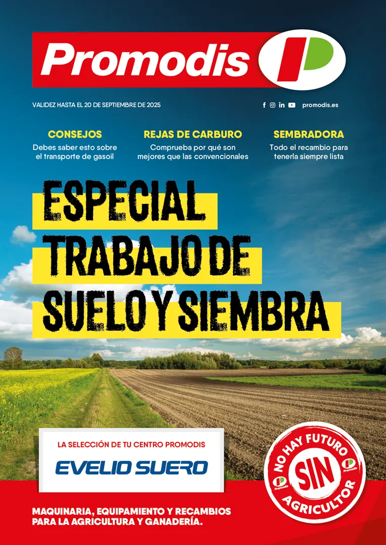 Mailing verano 25