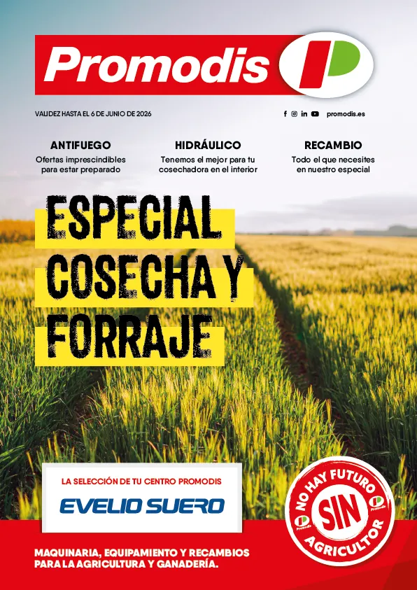 Revista Especial de Taller